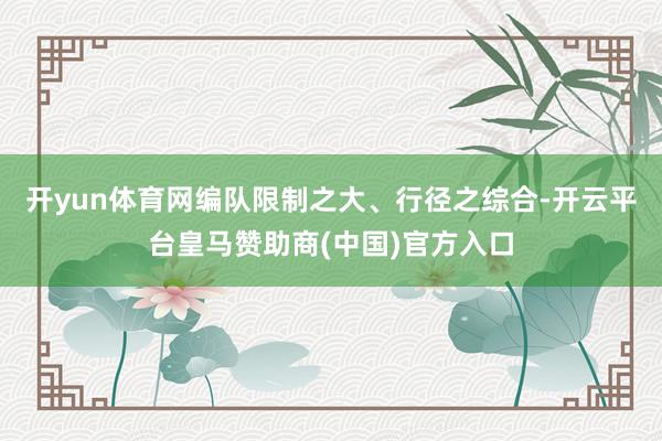开yun体育网编队限制之大、行径之综合-开云平台皇马赞助商(中国)官方入口